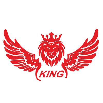 برچسب بدنه خودرو مهدیار طرح بال قرمز کوچک کد SM203