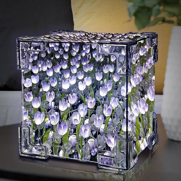 چراغ خواب دشت لاله بی نهایت