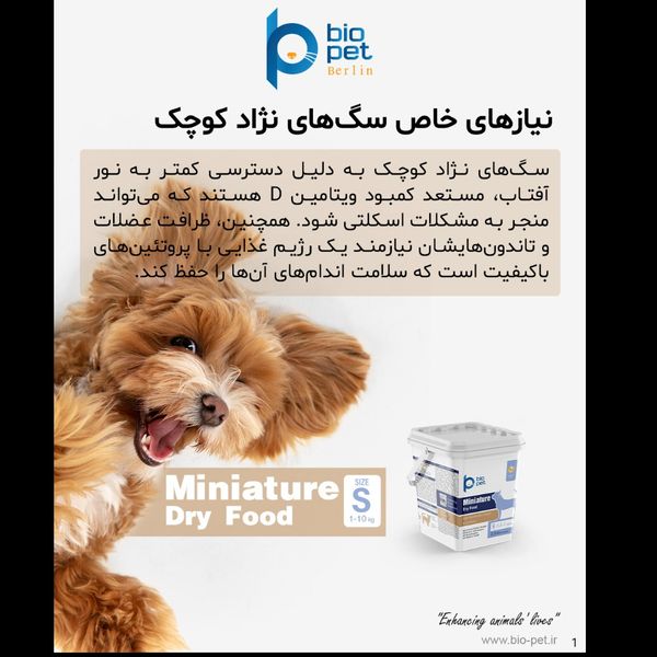 غذای خشک هالستیک سگ نژاد کوچک بالغ بایو پت مدل Miniature وزن 3.5 کیلوگرم