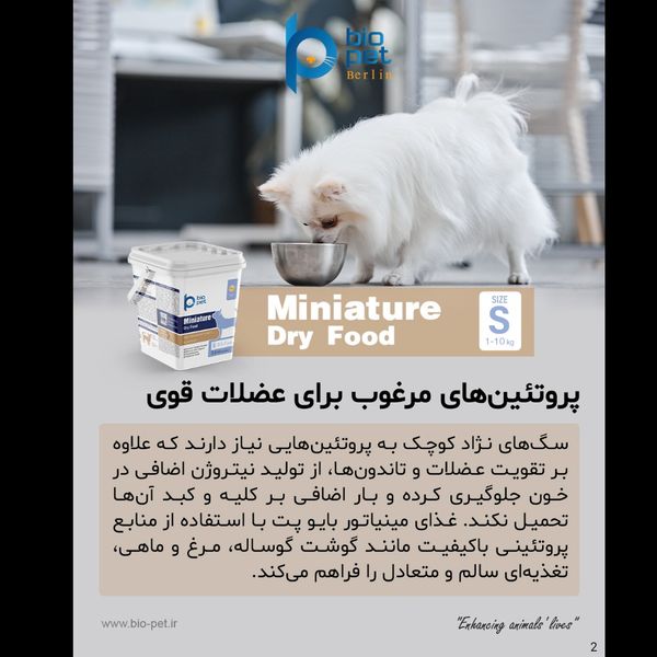 غذای خشک هالستیک سگ نژاد کوچک بالغ بایو پت مدل Miniature وزن 3.5 کیلوگرم