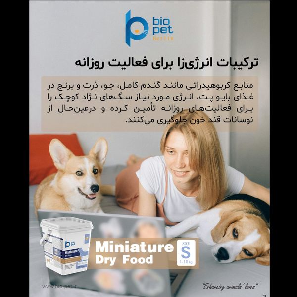 غذای خشک هالستیک سگ نژاد کوچک بالغ بایو پت مدل Miniature وزن 3.5 کیلوگرم