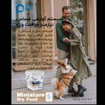 غذای خشک هالستیک سگ نژاد کوچک بالغ بایو پت مدل Miniature وزن 3.5 کیلوگرم