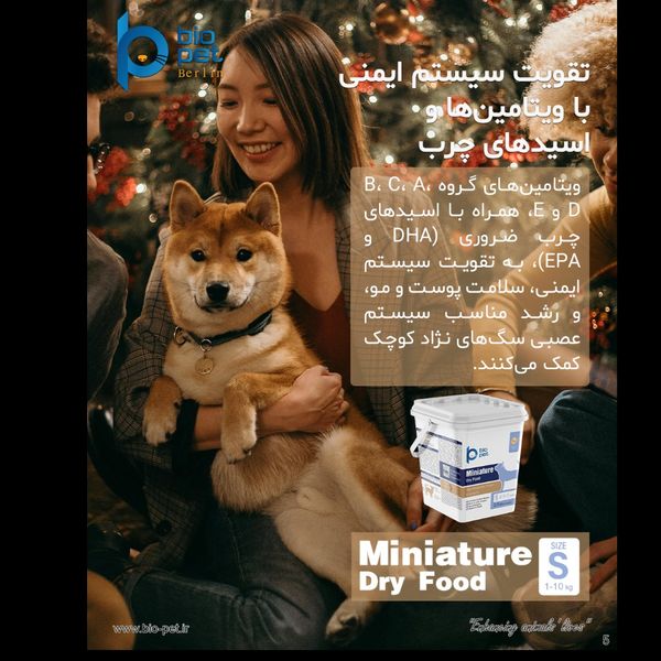 غذای خشک هالستیک سگ نژاد کوچک بالغ بایو پت مدل Miniature وزن 3.5 کیلوگرم