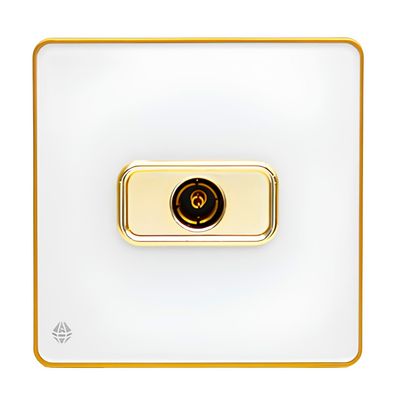 پریز آنتن صنایع آسیا الکتریک مدل YWG