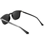 عینک آفتابی پنتوس (Pantos) آلبرت وگ مدل S31128C1 Acetate Avantgarde Visionary