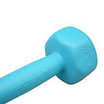 دمبل بدنسازی مدل GS-M-Six-113822 وزن 1 کیلو گرم بسته دو عددی