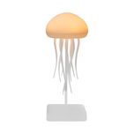 چراغ خواب  عروس دریایی