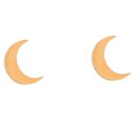 گوشواره زنانه طرح ماه کد GO1338*196