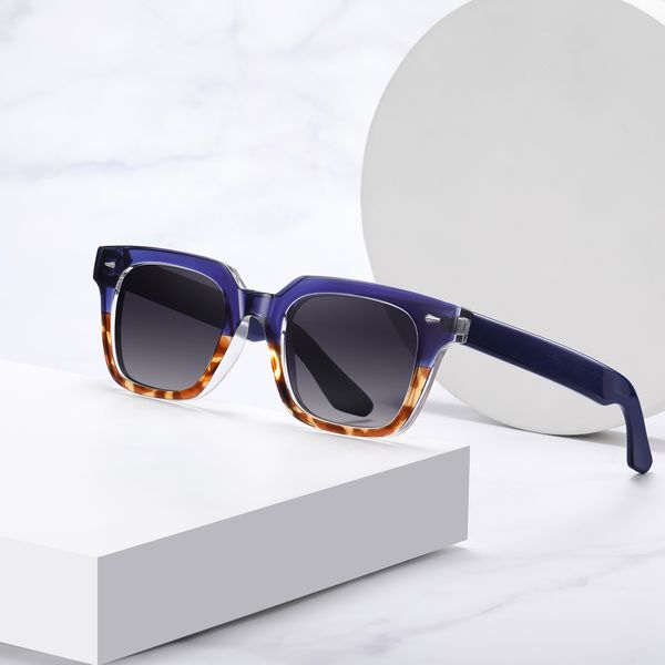 عینک آفتابی ویفرر آلبرت وگ مدل S31105C4 Polarized Avantgarde Visionary