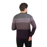 پلیور مردانه مدل  داخل خز*416