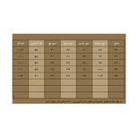 پیراهن زنانه مدل SN-BD-1547003047