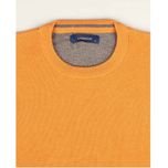 پلیور مردانه مدل SB-SS-VK02332