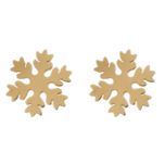 گوشواره میخی طرح برف*895