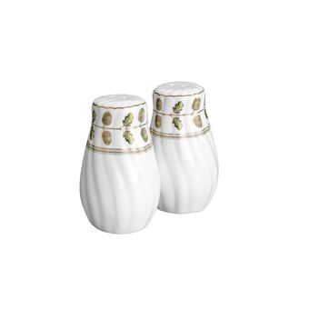نمکدان گلدکیش مدل رویسا کد GK701103-2 بسته 2 عددی