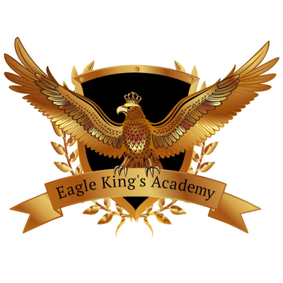 برچسب حرارتی و اتویی تیشرت و لباس نقش عقاب