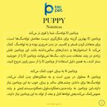 مکمل توله سگ بایو پت مدل Puppy وزن 400 گرم