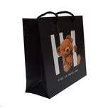 ساک هدیه طرح خرس تدی کد Tedi12