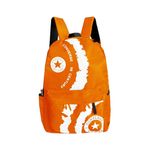 کوله پشتی مدل MDSS-CG4918*737