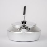 کتری سفری ترانگیا مدل Kettle 0.6L کد F2022