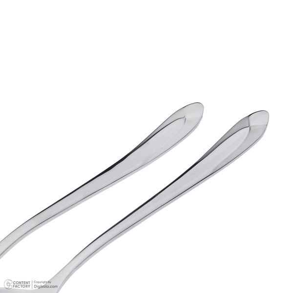 سرویس قاشق و چنگال 12 پارچه ام جی اس مدل DF020-S