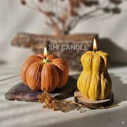 قالب سیلیکونی کدو بزرگ 2 عددی