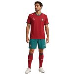 ست تی‌شرت آستین کوتاه و شلوارک ورزشی مردانه مدل GS-M-World Cup-317976