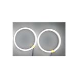 حلقه نئون چراغ خودرو مدل 8w بسته دو عددی