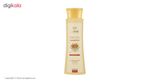 شامپو مو پروتئینه جوانه گندم سینره مدل Wheat Germ حجم 250 میلی‌لیتر