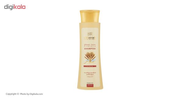 شامپو مو پروتئینه جوانه گندم سینره مدل Wheat Germ حجم 250 میلی‌لیتر
