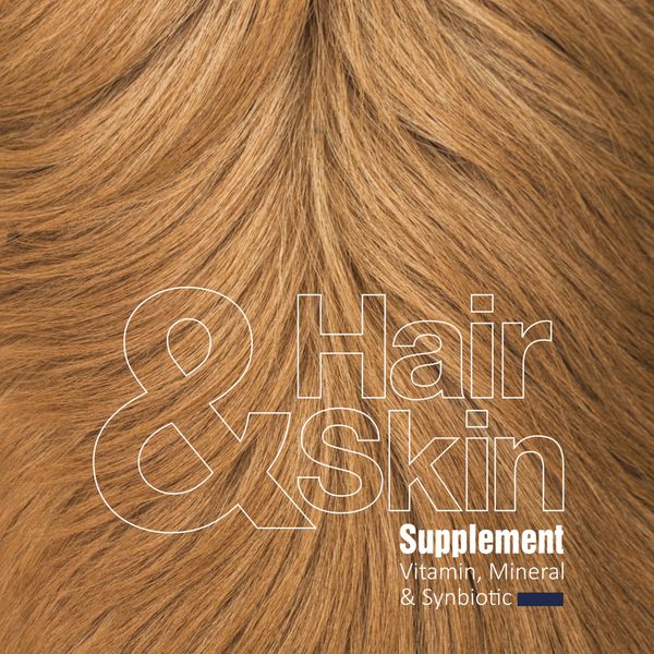 مکمل پوست و موی سگ بایو پت مدل Hair and Skin وزن 200 گرم