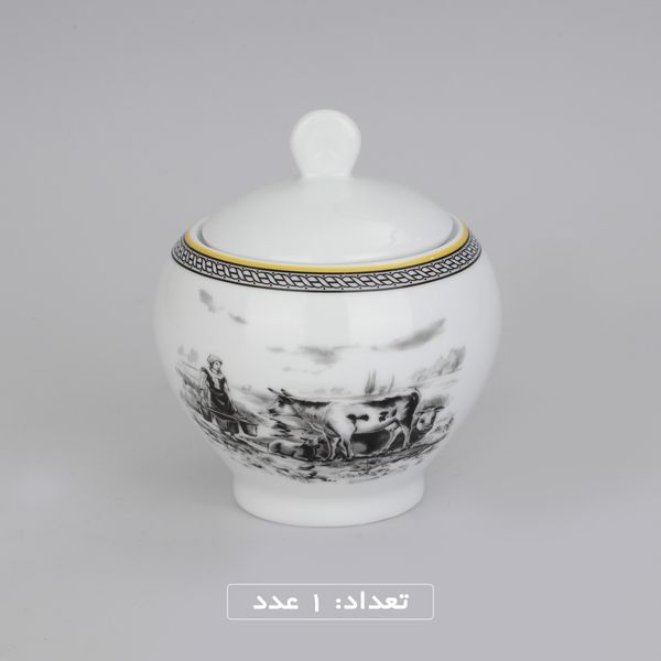 سرویس چینی 102 پارچه غذا خوری چینی زرین ایران سری ایتالیا اف مدل ویلیج درجه یک