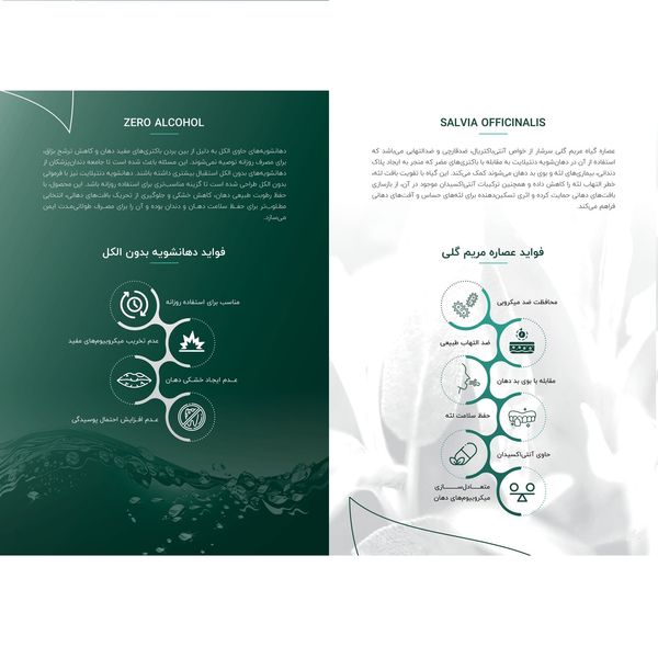 دهان شویه دنتیلایت مدل پست بیوتیک حجم 500 میلیلیتر