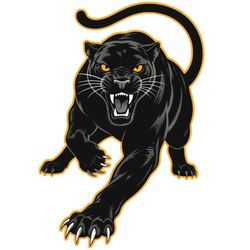 برچسب حرارتی یا استیکر اتویی لباس پلنگ سیاه