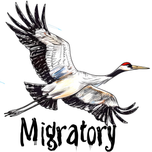 برچسب ضدآب و ضدخش اجسام مدل Migratory