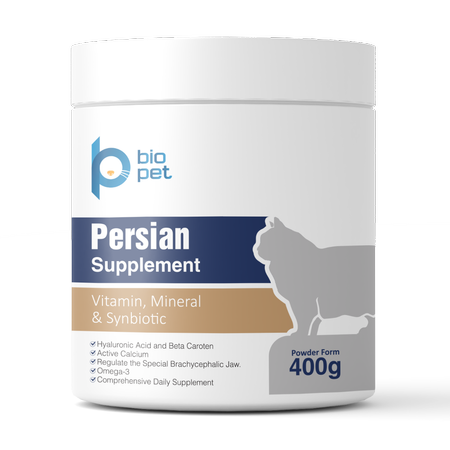 مکمل گربه پرشین بایو پت مدل Persian وزن 400 گرم