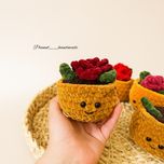 گلدان بافتنی گلدانه