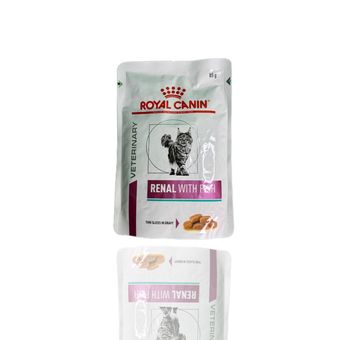 پوچ گربه رویال کنین درمانی بیماری کلیوی با طعم ماهی
