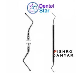اکسکاواتور پیشرو دنت Pishro Dent excavator