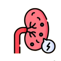 پکیج دفع سنگ کلیه