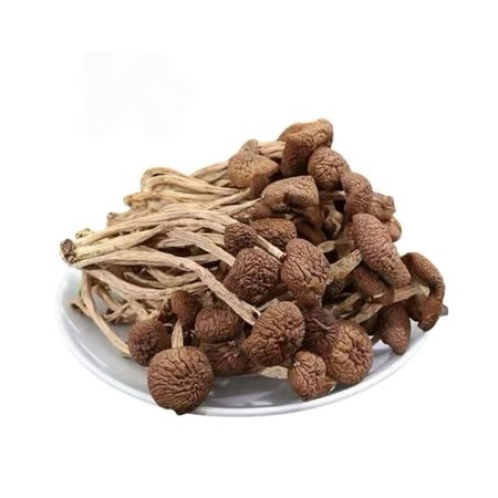 قارچ شیتاکه 100 گرمی بلند