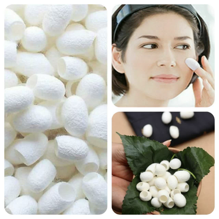 پیله ابریشم