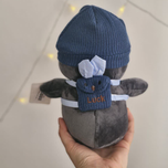 پنگوئن کوله دار