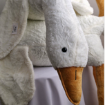 غاز بالشتی (3سایز)