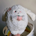 خرگوش هلو به دست (2سایز)