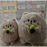 گربه آووکادو به دست (2 سایز)