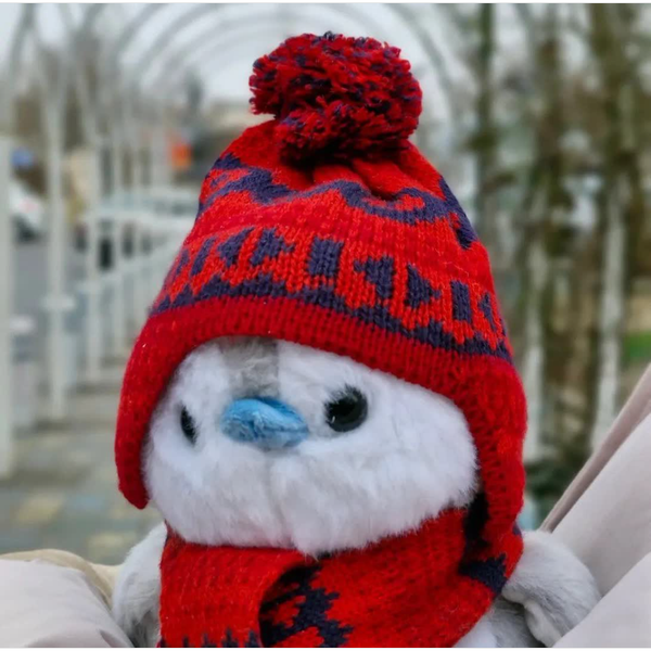 پنگوئن کلاه قرمزی