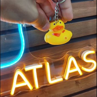 ُُُُُُجاکلیدی طرح اردک