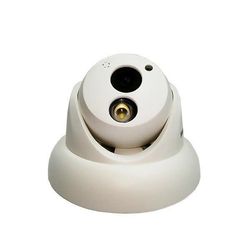 دوربین دام 2 مگاپیکسل D PR – WL