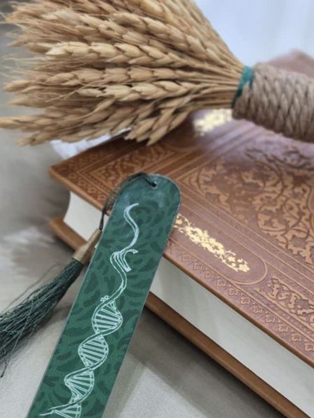 نشانگر پلکسی علی ع