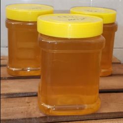 خرید عسل گون‌گز 1000 گرمی حَنا | عسل روشن طبیعی و انرژی‌زا